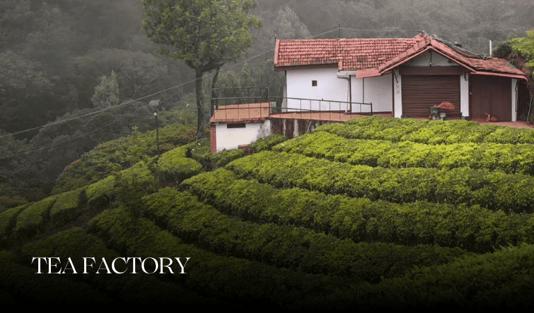 Tea Factory in kotagiri