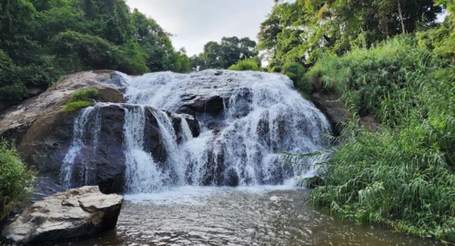 Catherine Water Falls Kotagiri