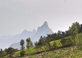 Rangaswamy Peak and Pillar