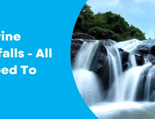 Catherine Waterfalls