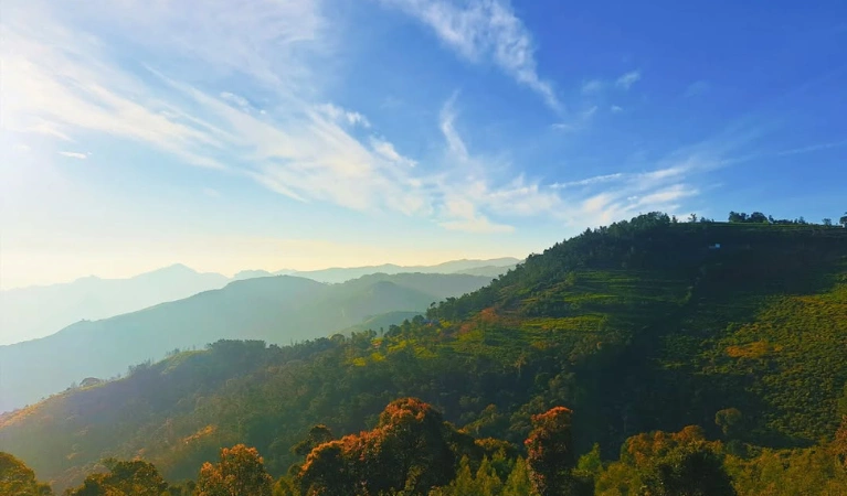 Ooty, the nilgiris