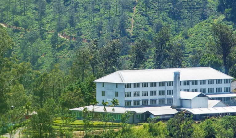 Places to visit in coonoor Tea Factory