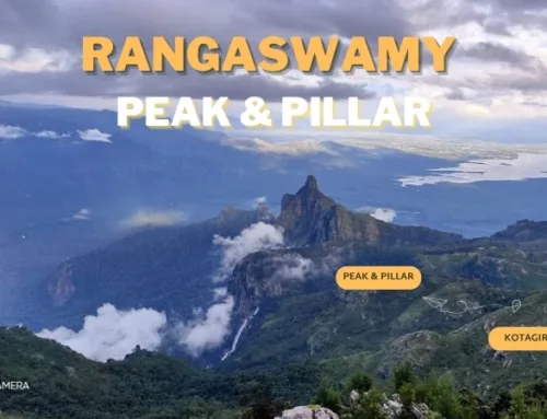 Rangaswamy Peak and Pillar,kotagiri