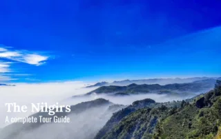 The Nilgiris