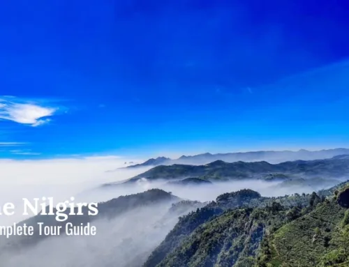 The Nilgiris District, Tamil Nadu