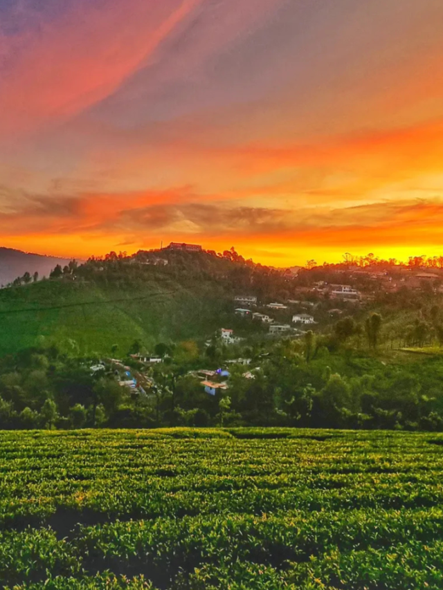 Coonoor Hill Station- All you need know