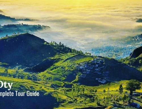 Ooty, Tamil Nadu – Everything You Need to Know