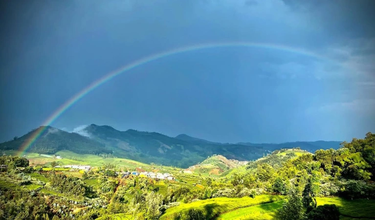 ooty