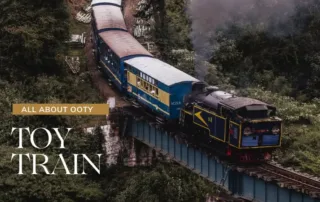 Ooty Toy Train