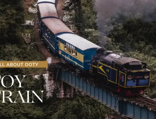 Ooty Toy Train Ride – How to Book, Timings & Route