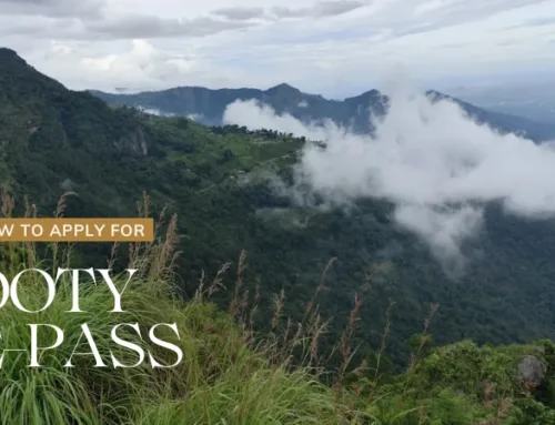 Ooty E-Pass
