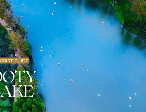 Ooty Lake 2025 -Tourist Guide