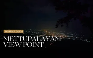 Mettupalayam view point