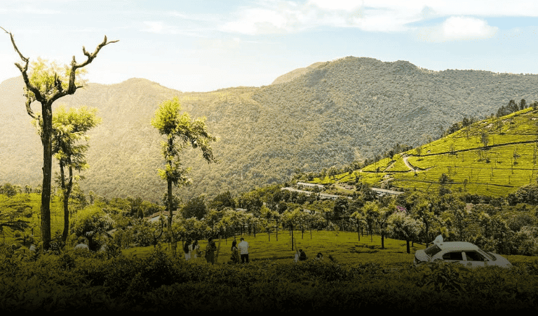Weather in Coonoor by Season