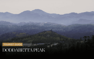 Doddabetta Peak