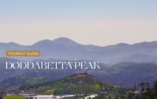 Doddabetta Peak ooty