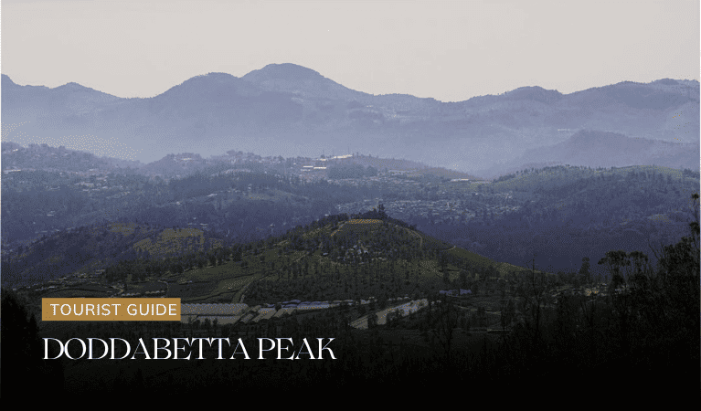 Doddabetta Peak