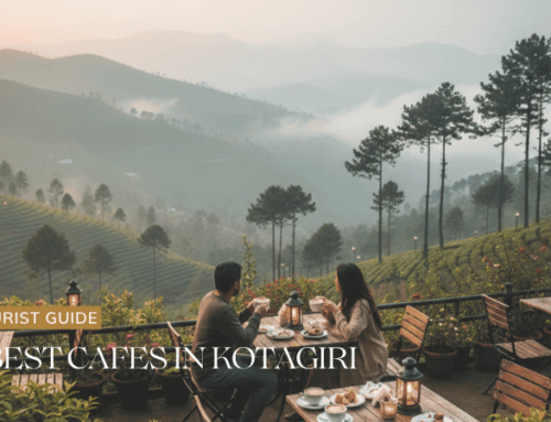 5 Best Cafes in Kotagiri You Must Try in 2026