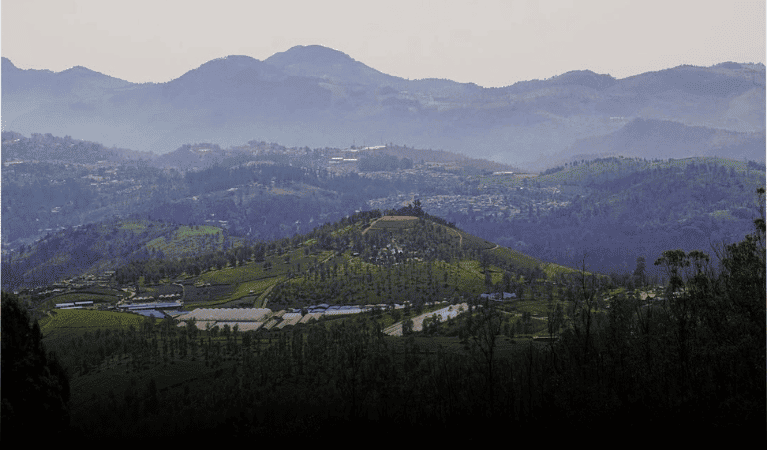 Doddabetta Peak - places to visit in ooty