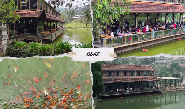 ODAE - Restaurants in Kotagiri