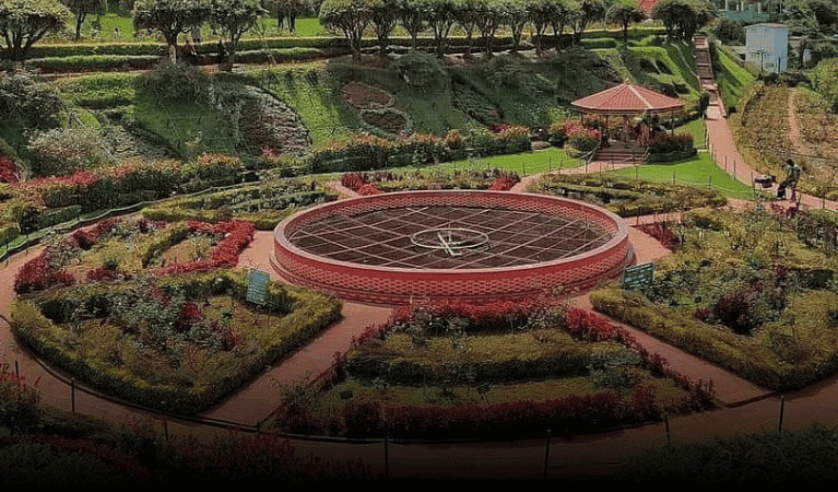 Rose Garden - ooty