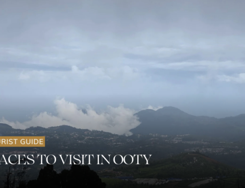 Top Places to Visit in Ooty in 2026