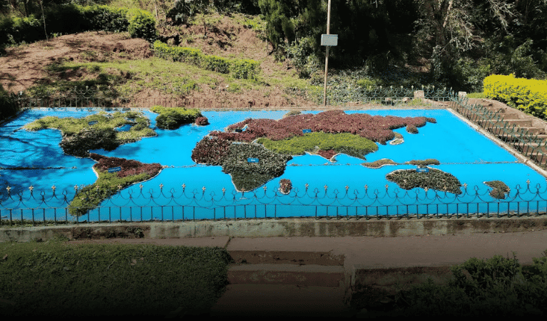Annual Fruit & Vegetable Show at Sim’s Park