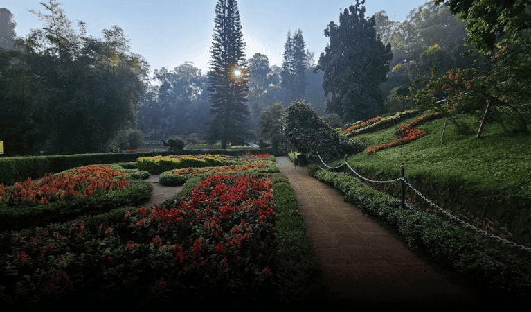 Best Time to Visit Sim’s Park
