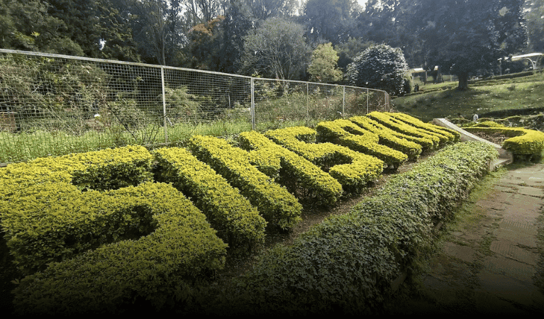 History of sims park