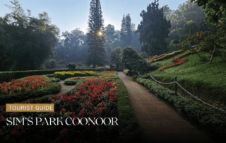sim’s park coonoor