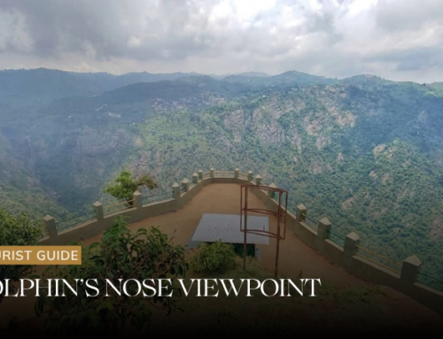 Dolphin’s Nose Viewpoint Coonoor
