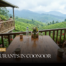 Best Restaurants in Coonoor