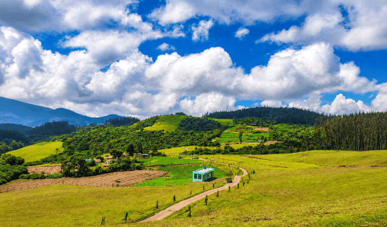 Things to Do in 9th Mile ooty
