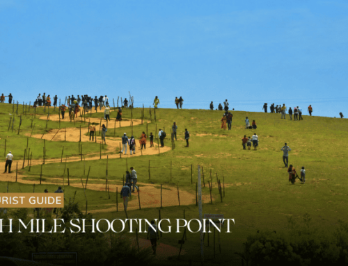Wenlock Downs 9th Mile Shooting Point