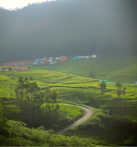 Stays in Kotagiri