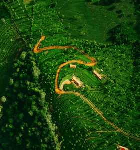 Stays in Gudalur