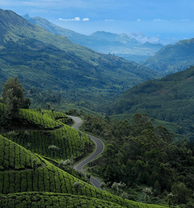 Stays in Ooty